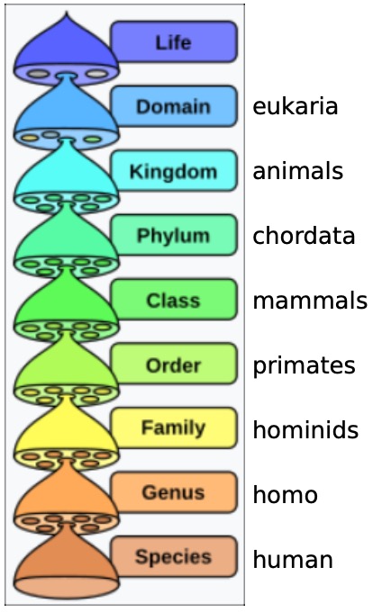 General Biology